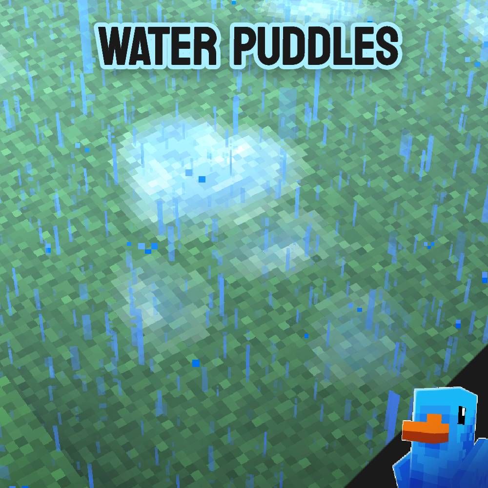 FischVogel Water Puddles  preview image