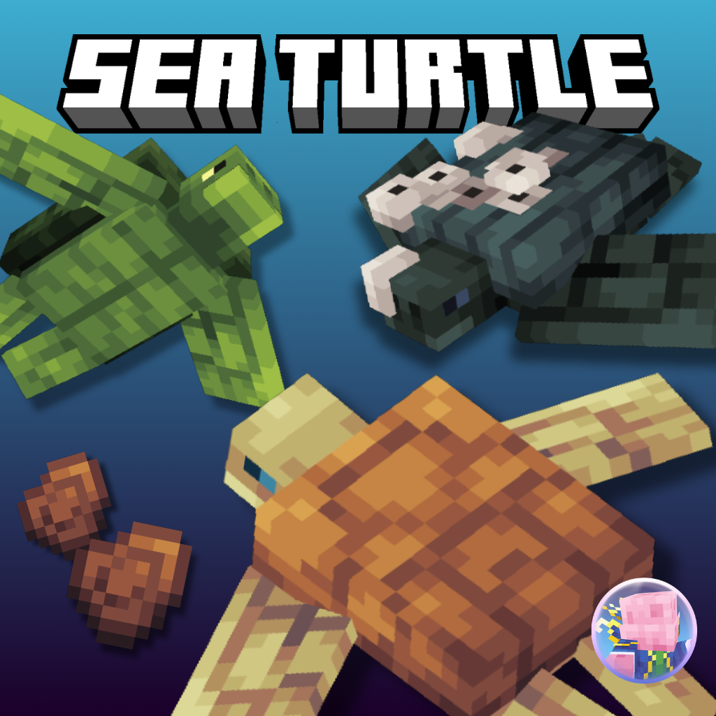 Sea Turtle preview image