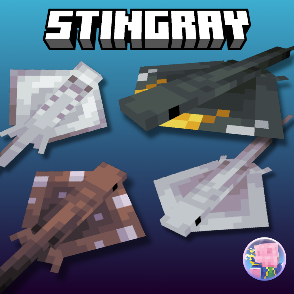 Stingray preview image