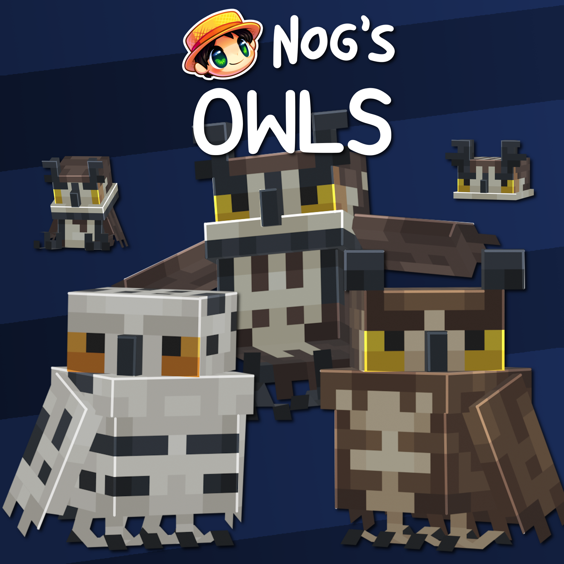 Nog's Owls preview image