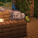 Thumbnail 10