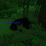 Miniatura 9