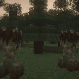 Thumbnail 15