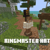 Thumbnail 17