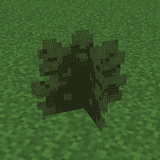 Miniatura 12