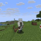 Miniatura 10