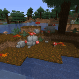 Miniatuur 5