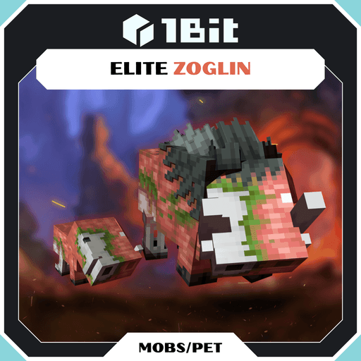 Elite Zoglin 預覽圖