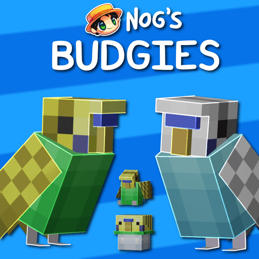 Nog's Budgies visualização