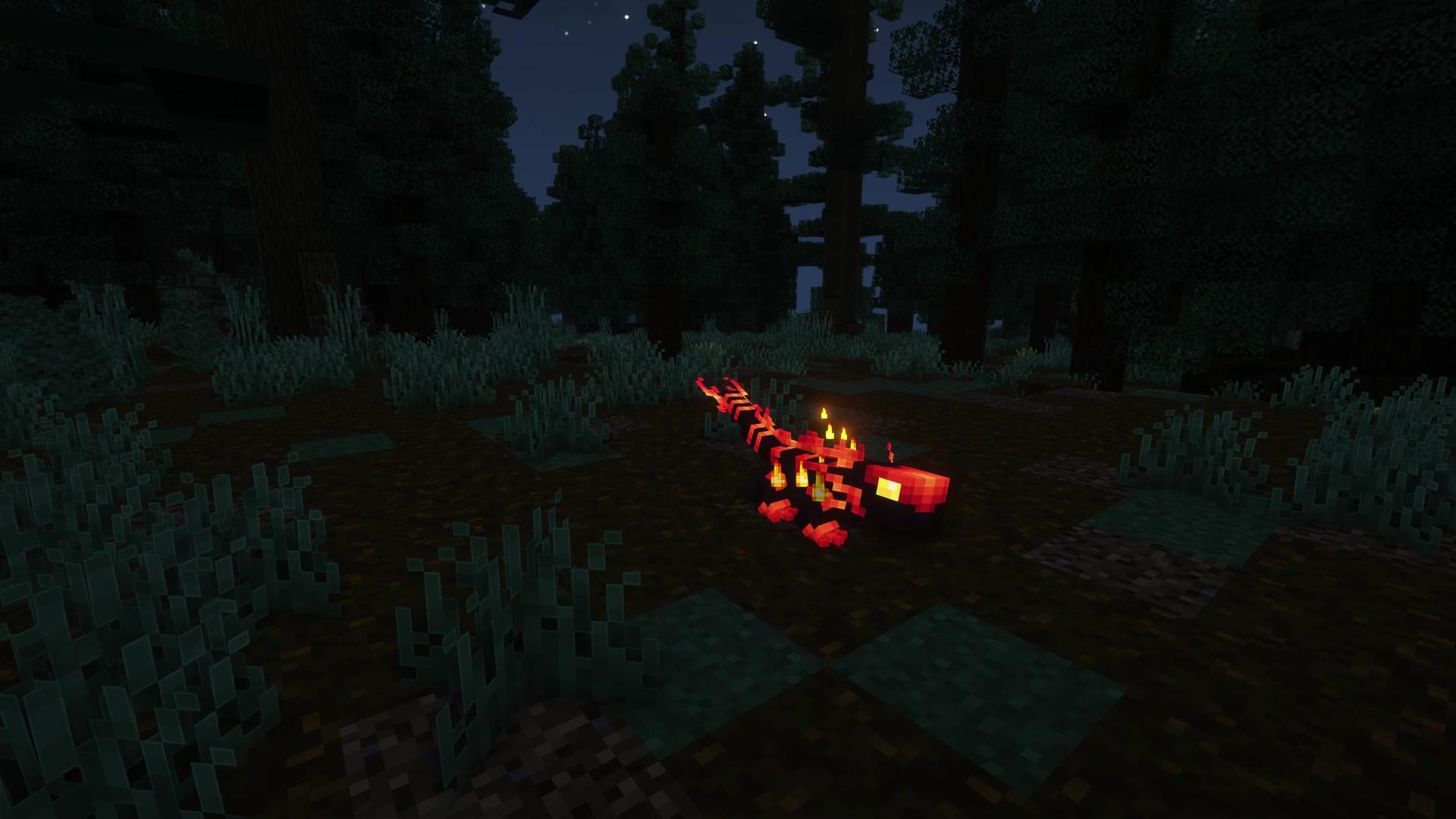 Thumbnail 11