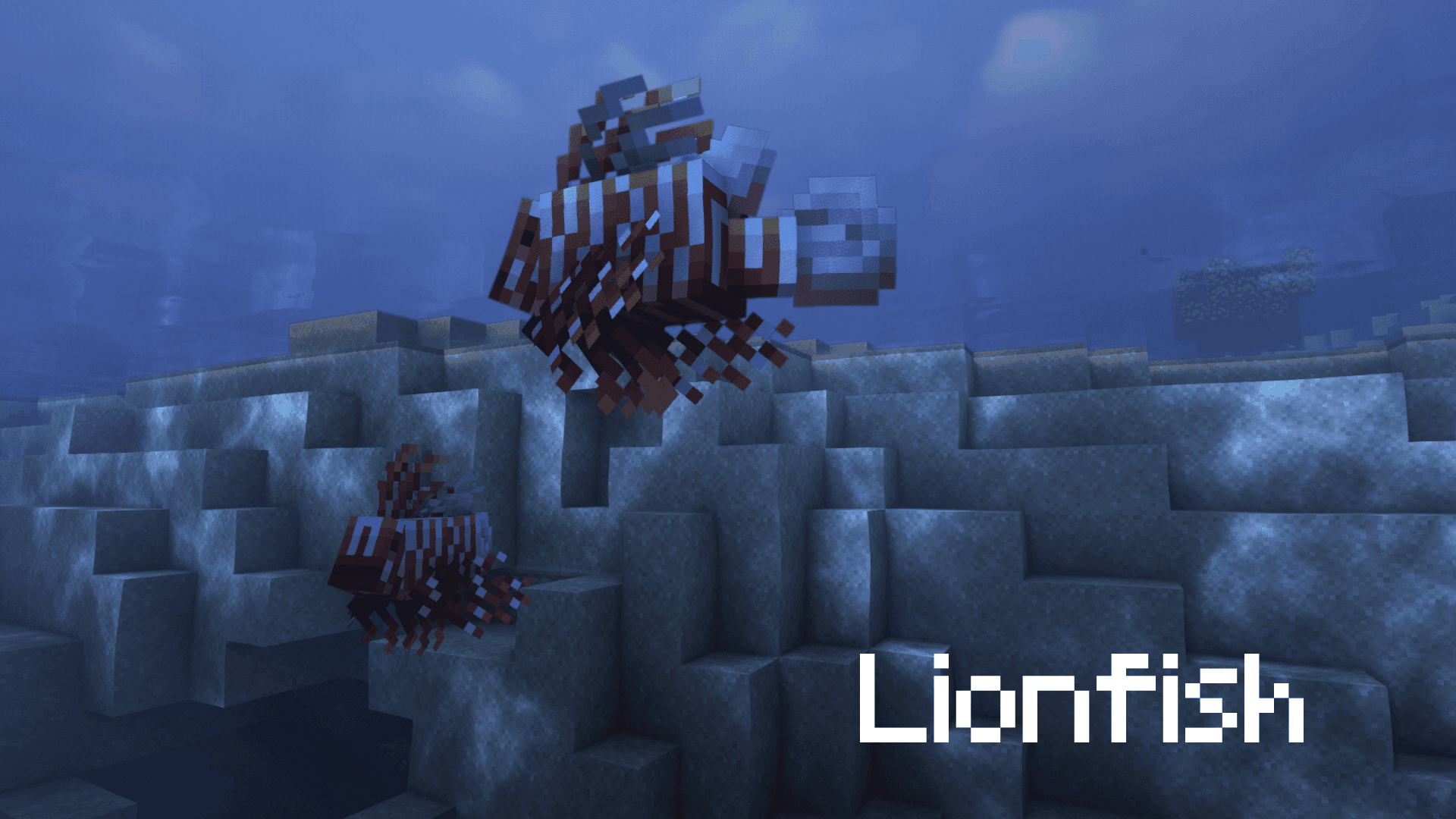 Thumbnail 13
