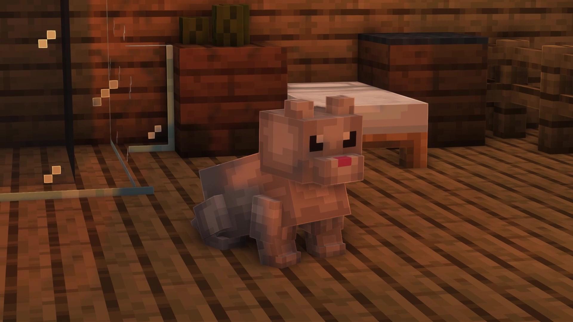 Thumbnail 11