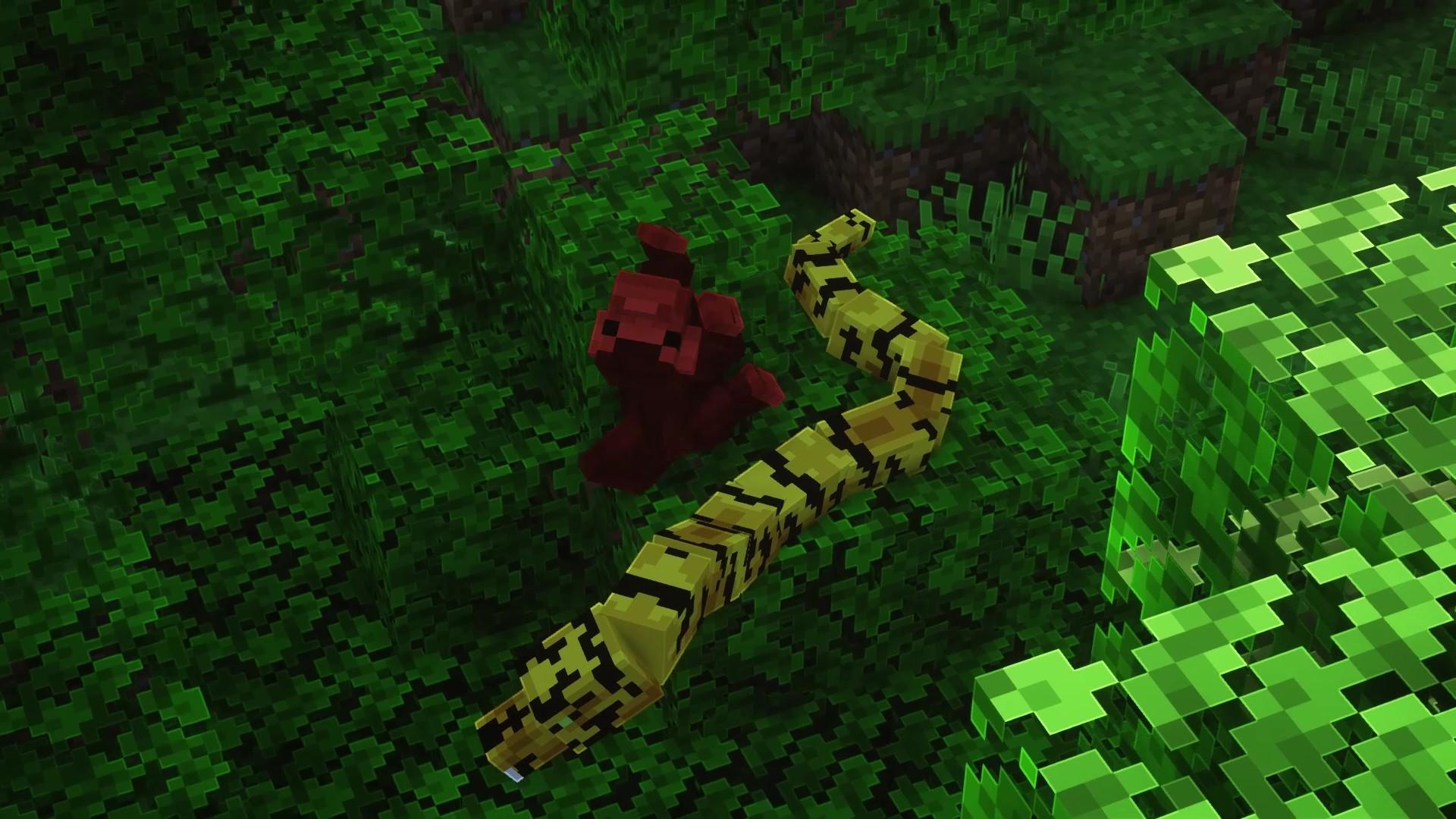 Thumbnail 8