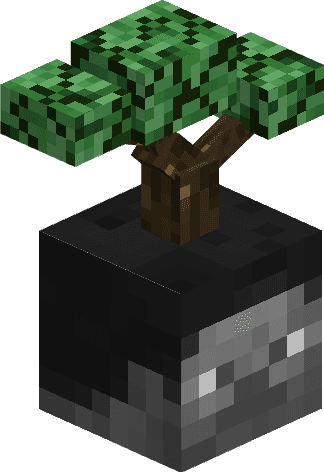 Thumbnail 13