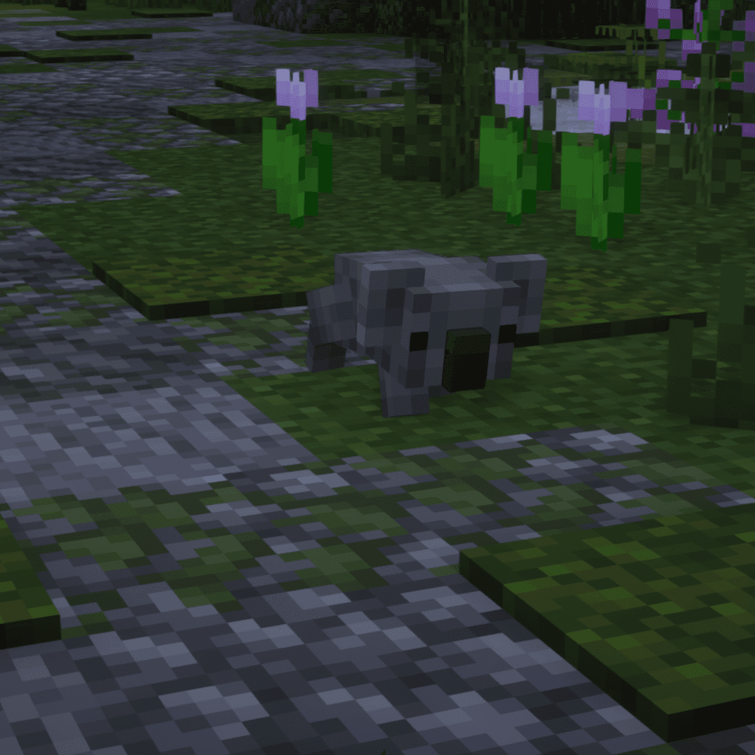 Miniatuur 4