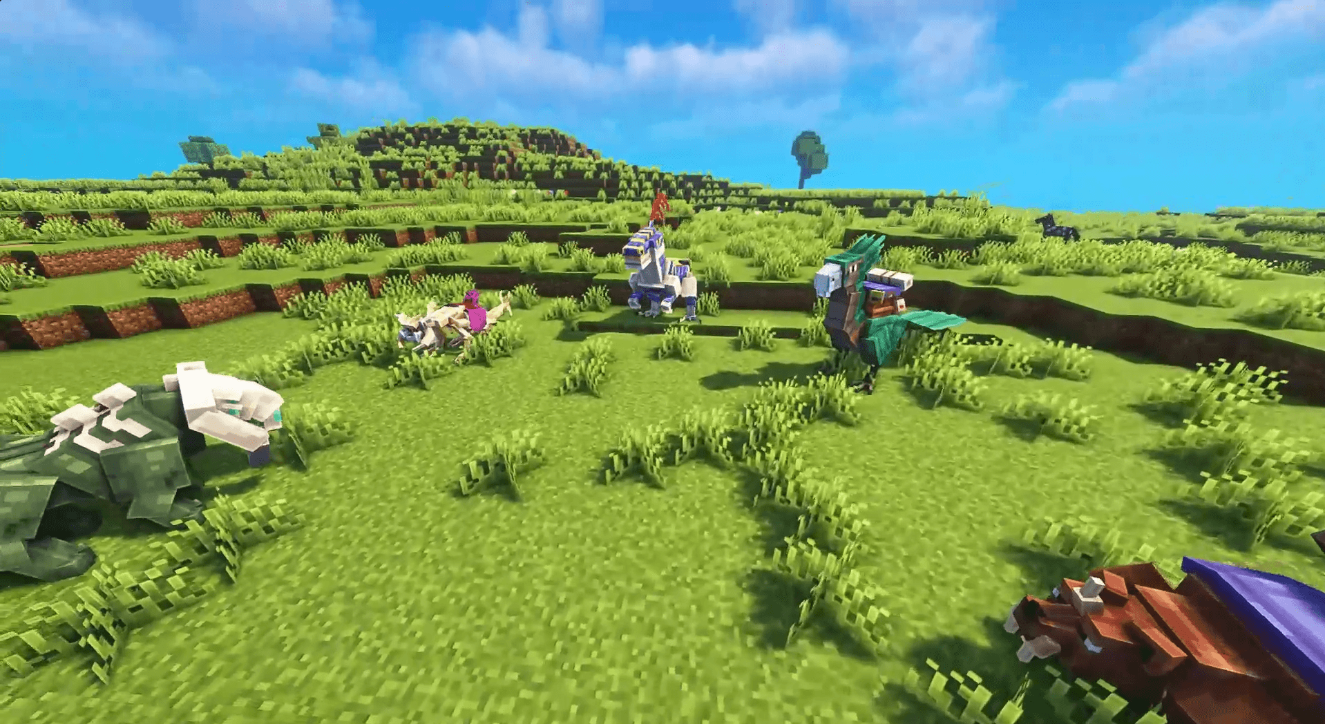 Thumbnail 7