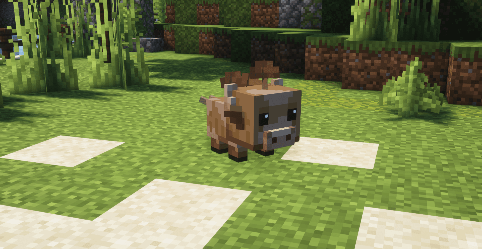 Thumbnail 6
