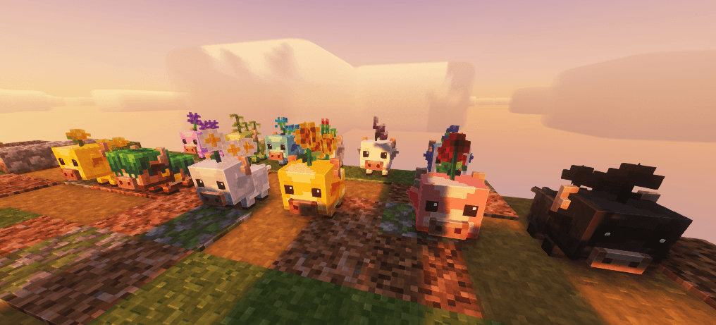 Thumbnail 7