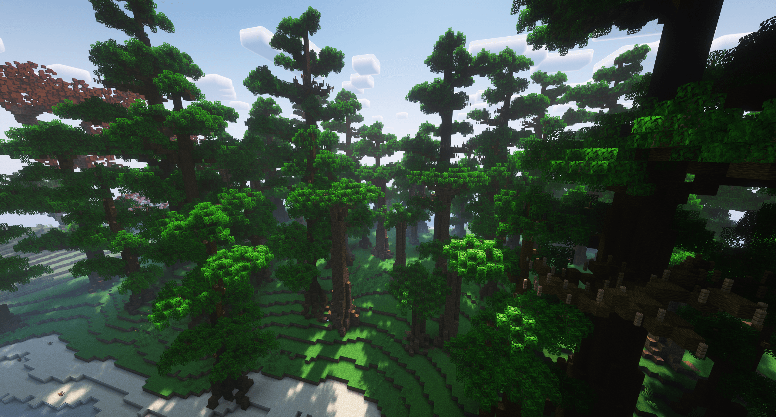 Thumbnail 11