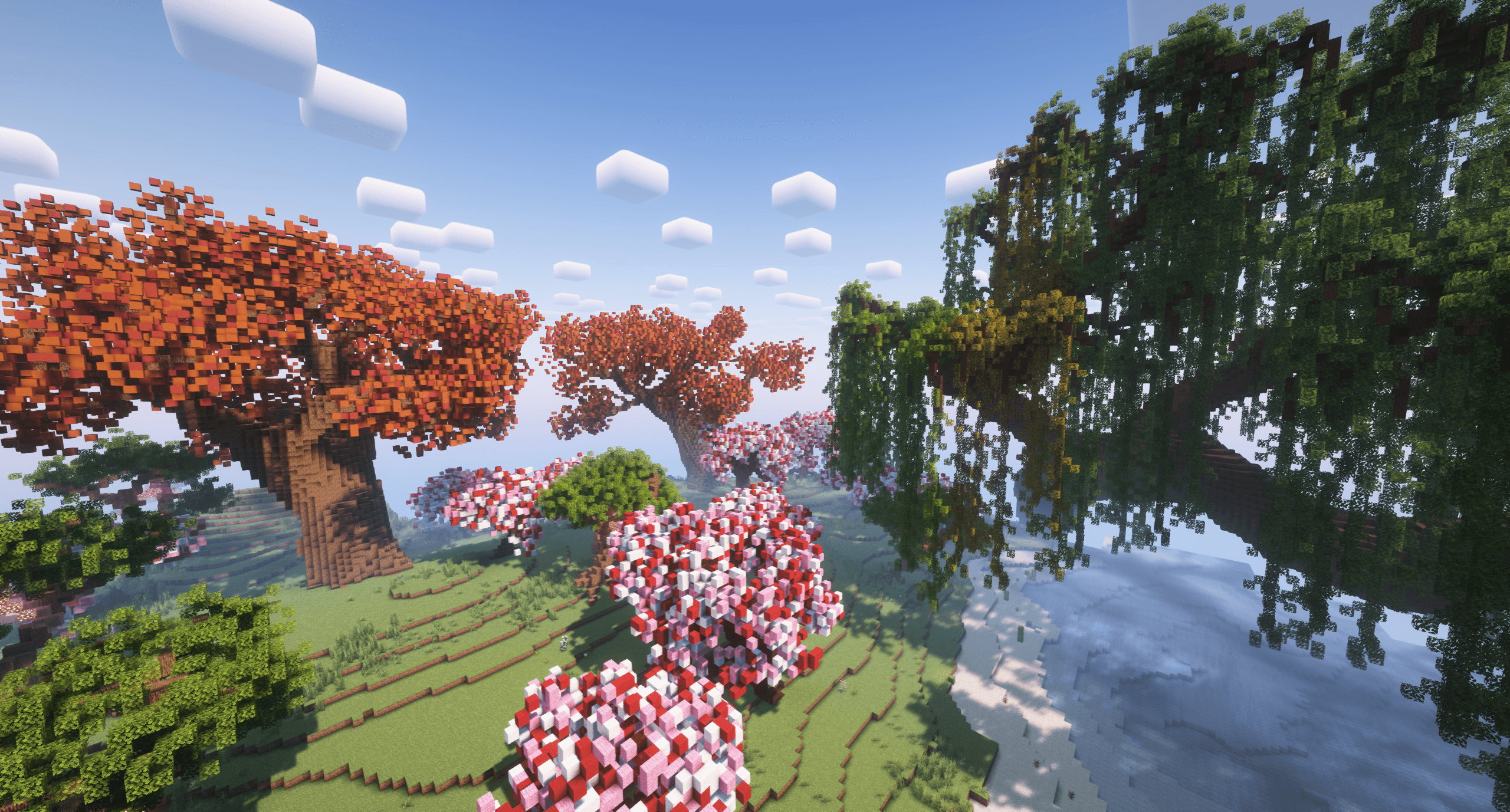 Thumbnail 12
