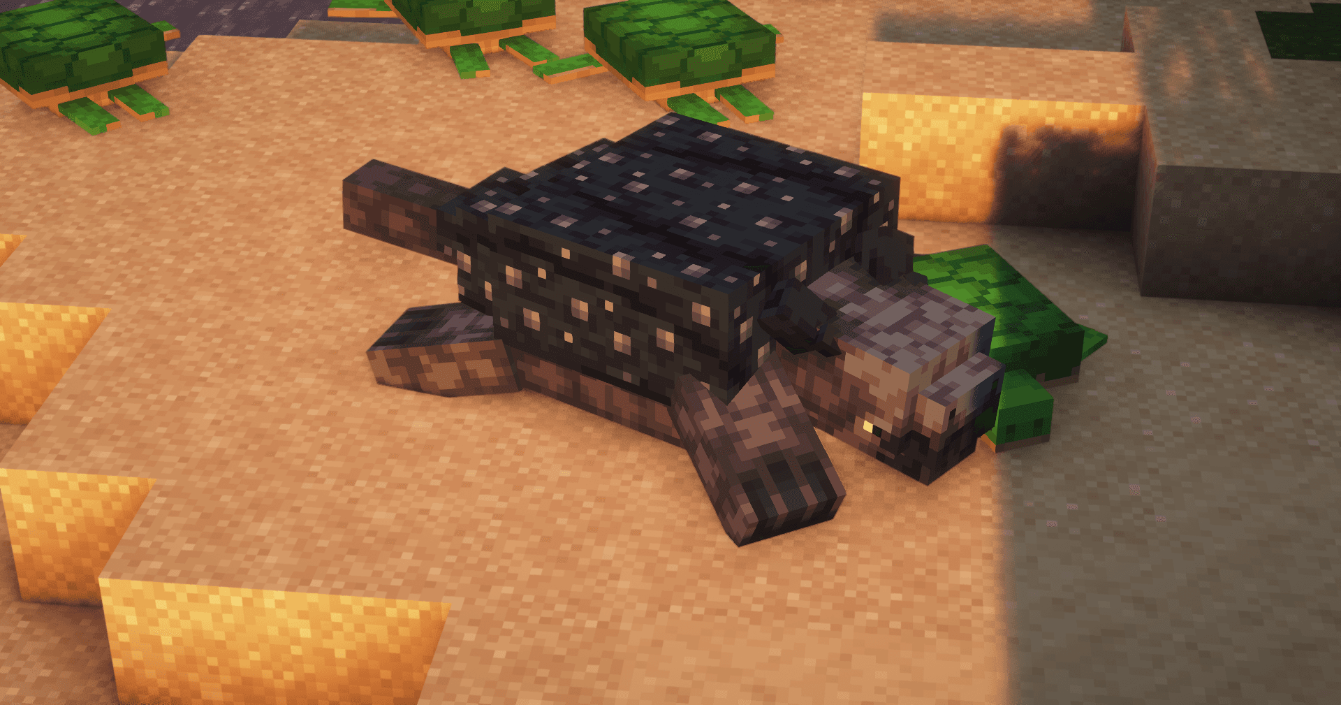Thumbnail 3