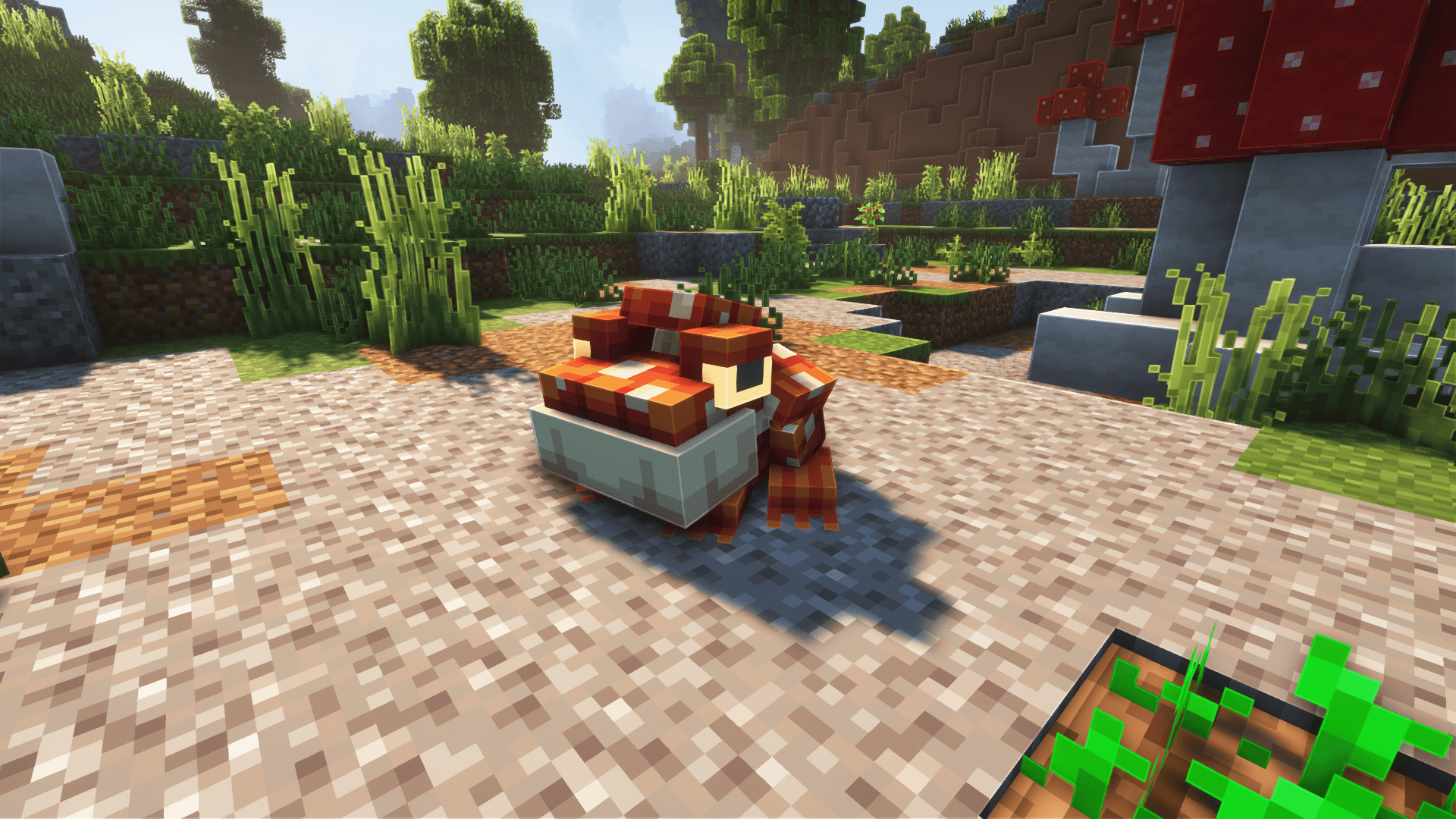 Thumbnail 14