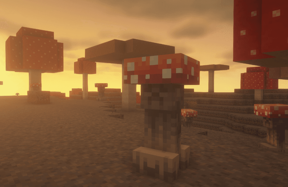 Thumbnail 11