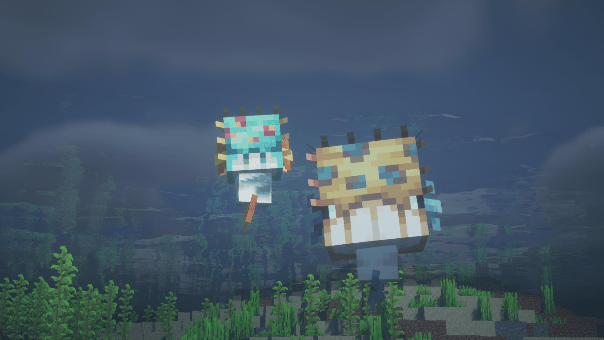 Thumbnail 12
