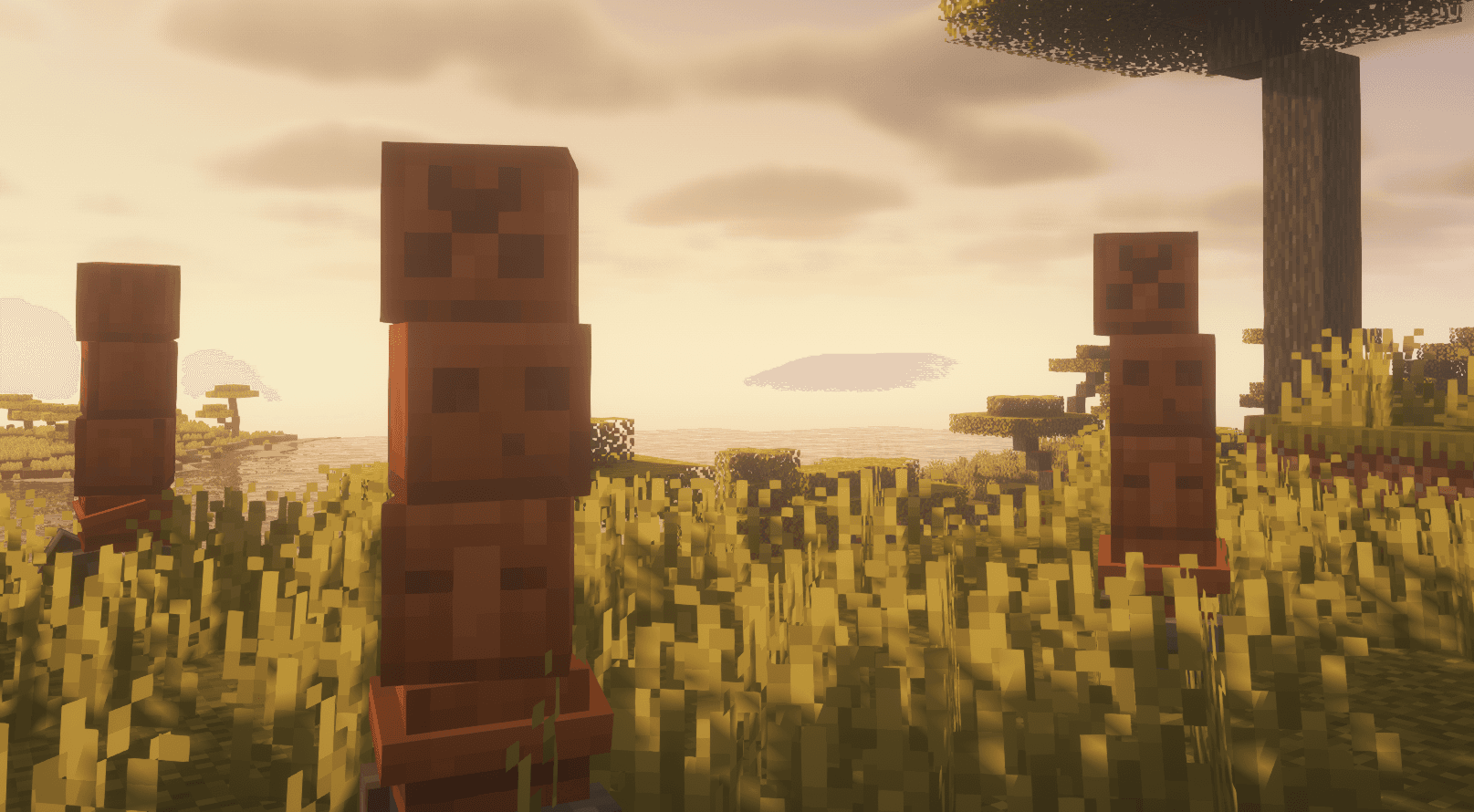 Thumbnail 13