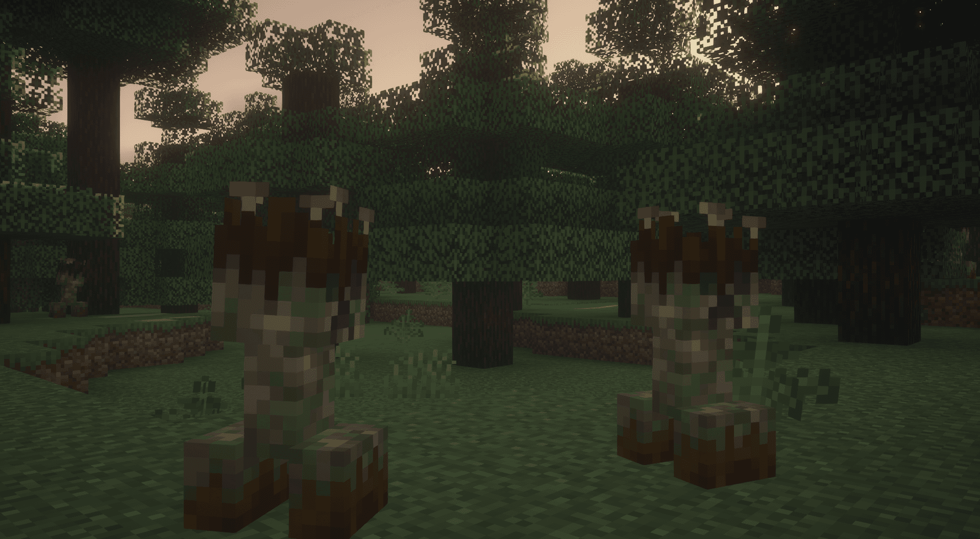 Thumbnail 15