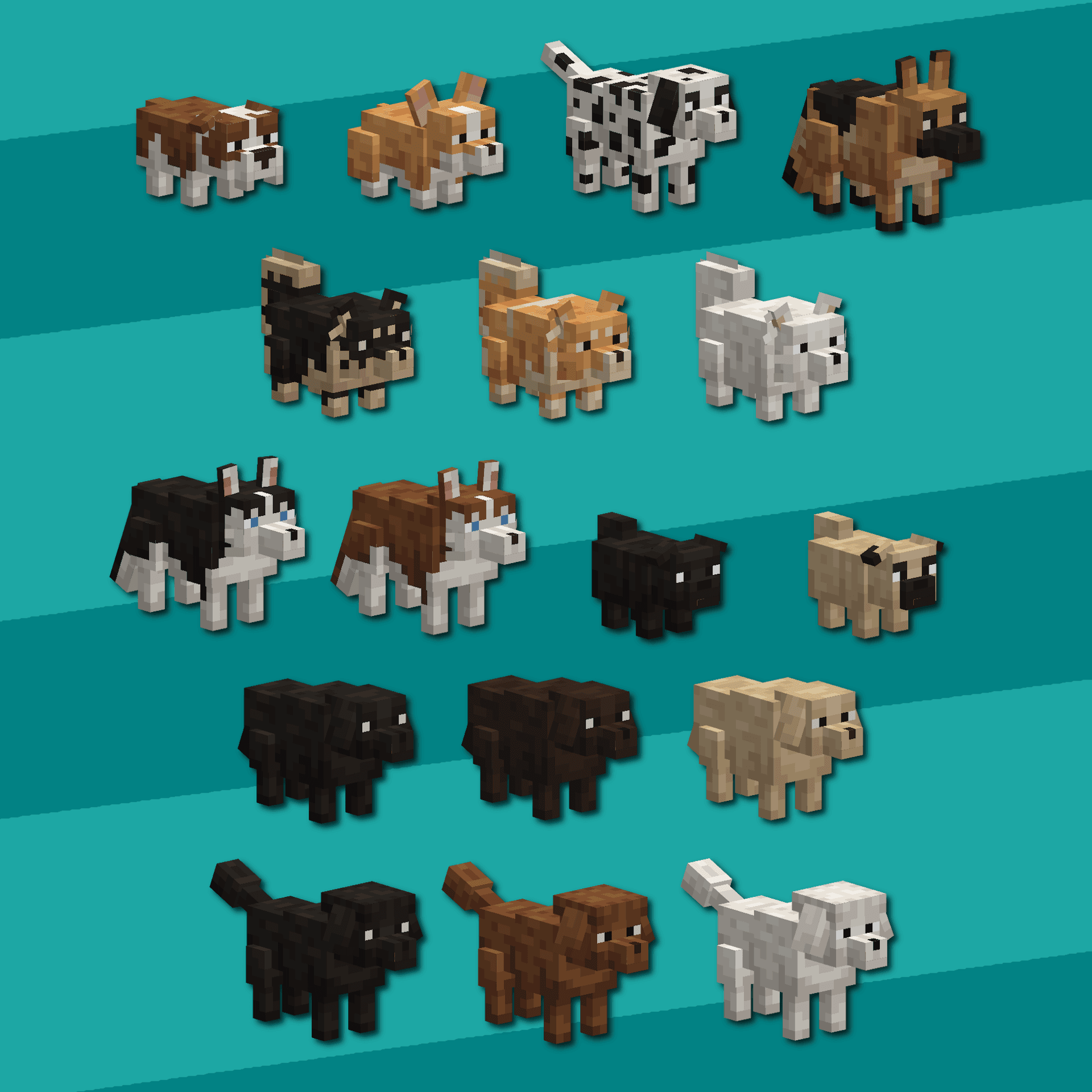 Miniatuur 5