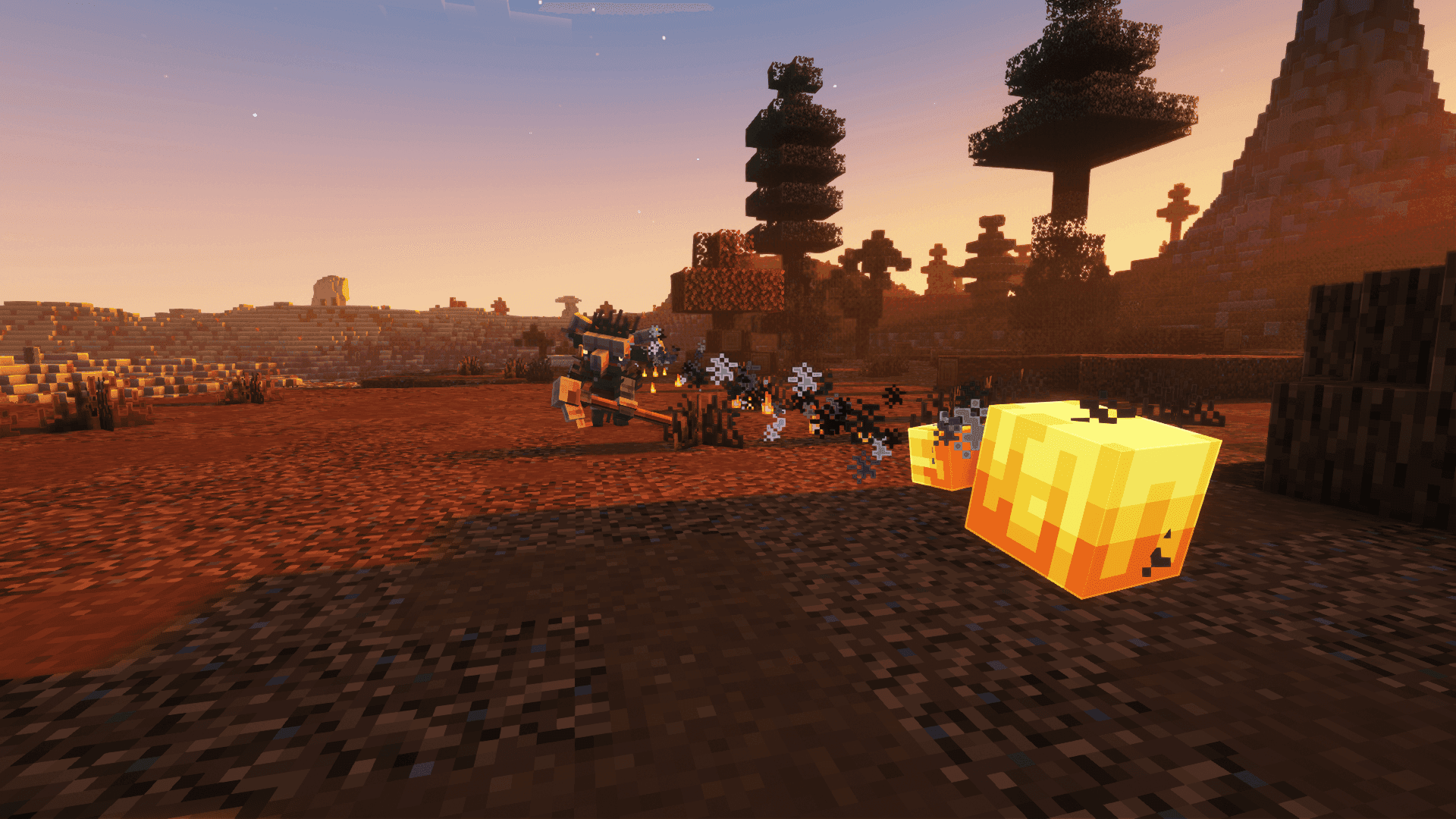 Thumbnail 8
