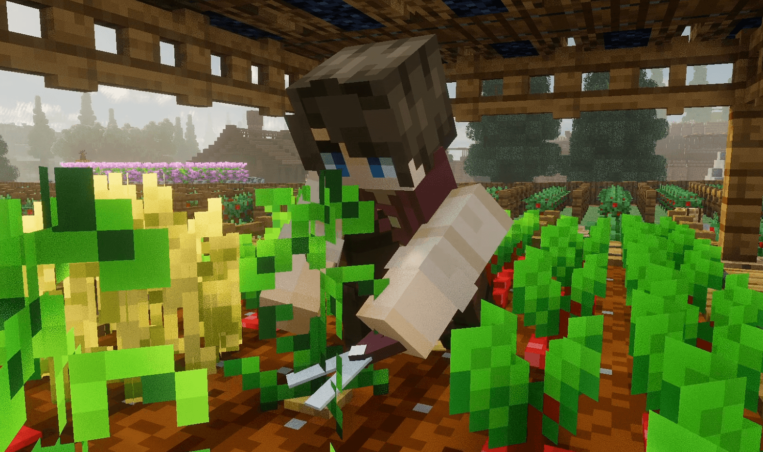 Thumbnail 7