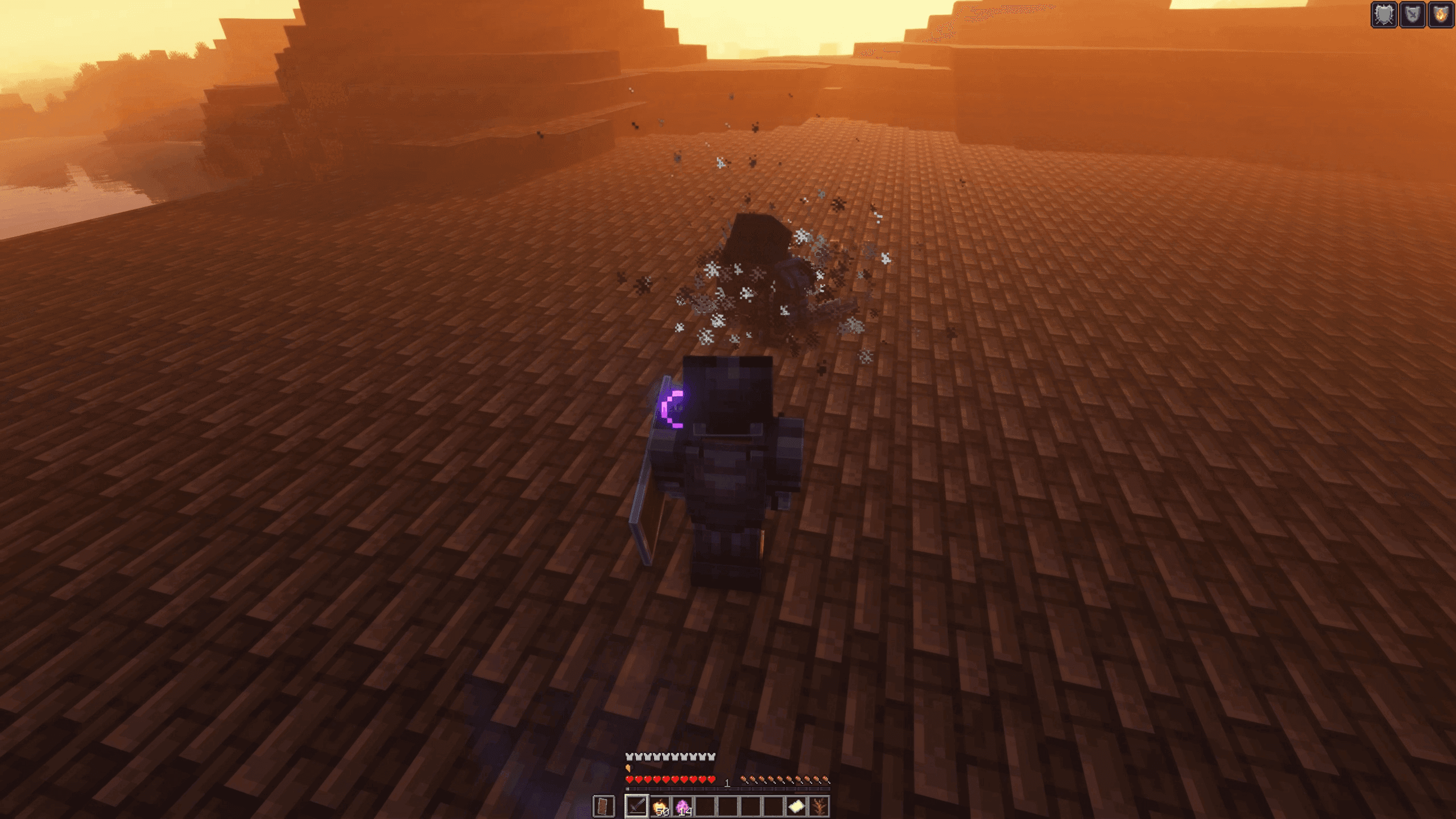 Thumbnail 13