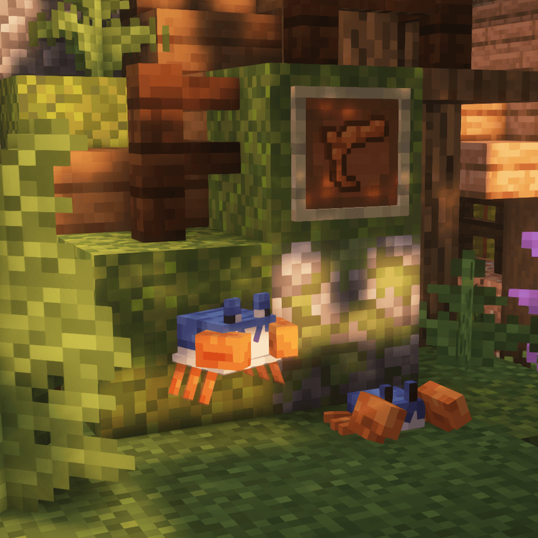 Miniatuur 4