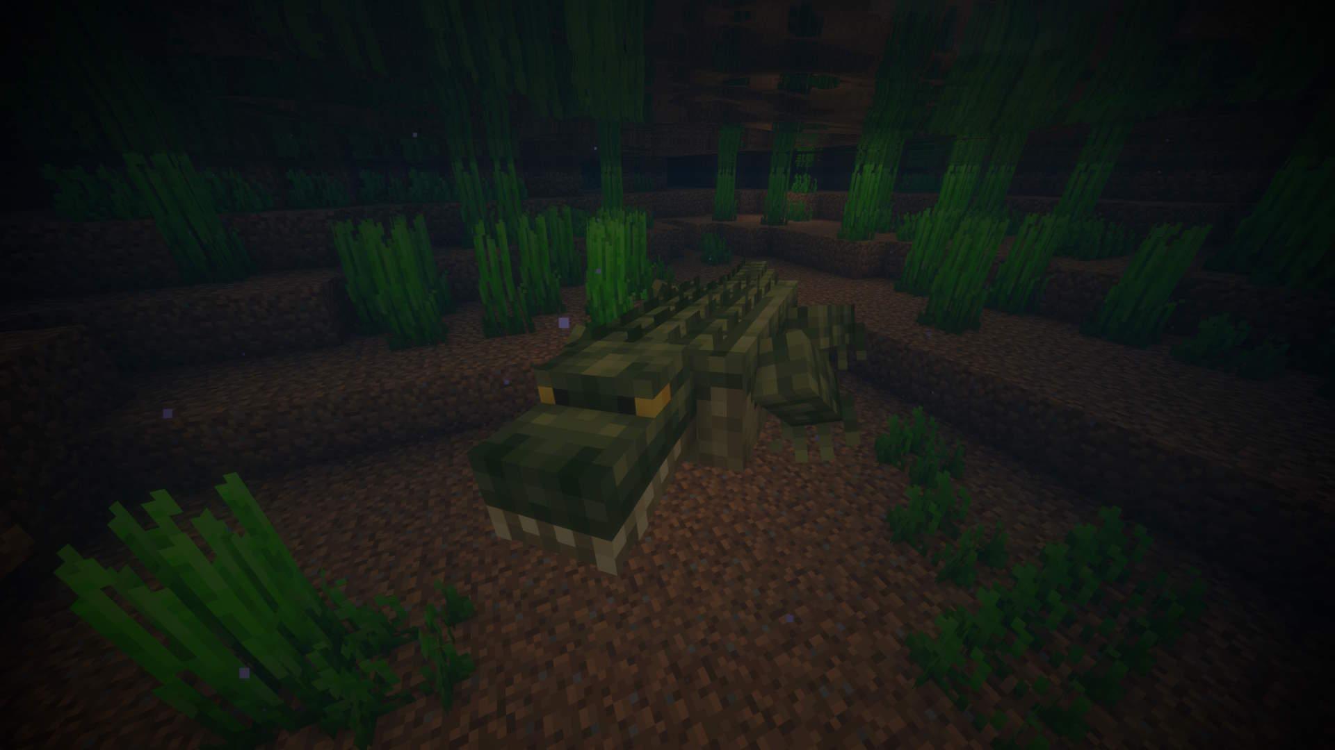 Thumbnail 4