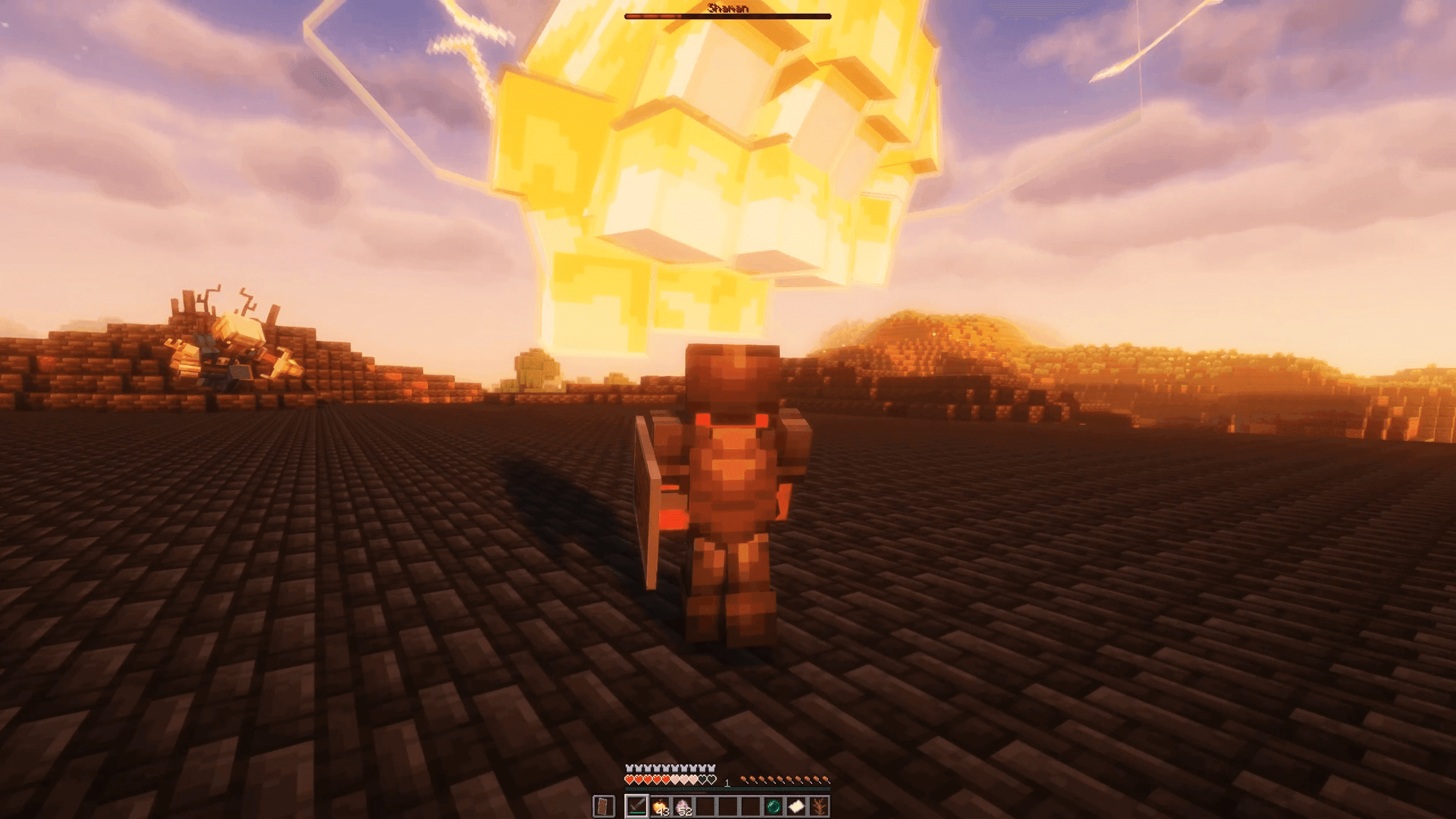 Thumbnail 11