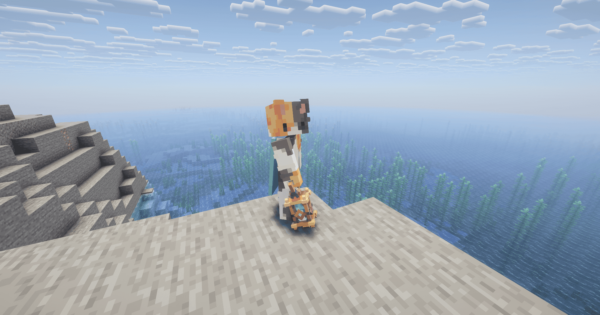 缩略图 6