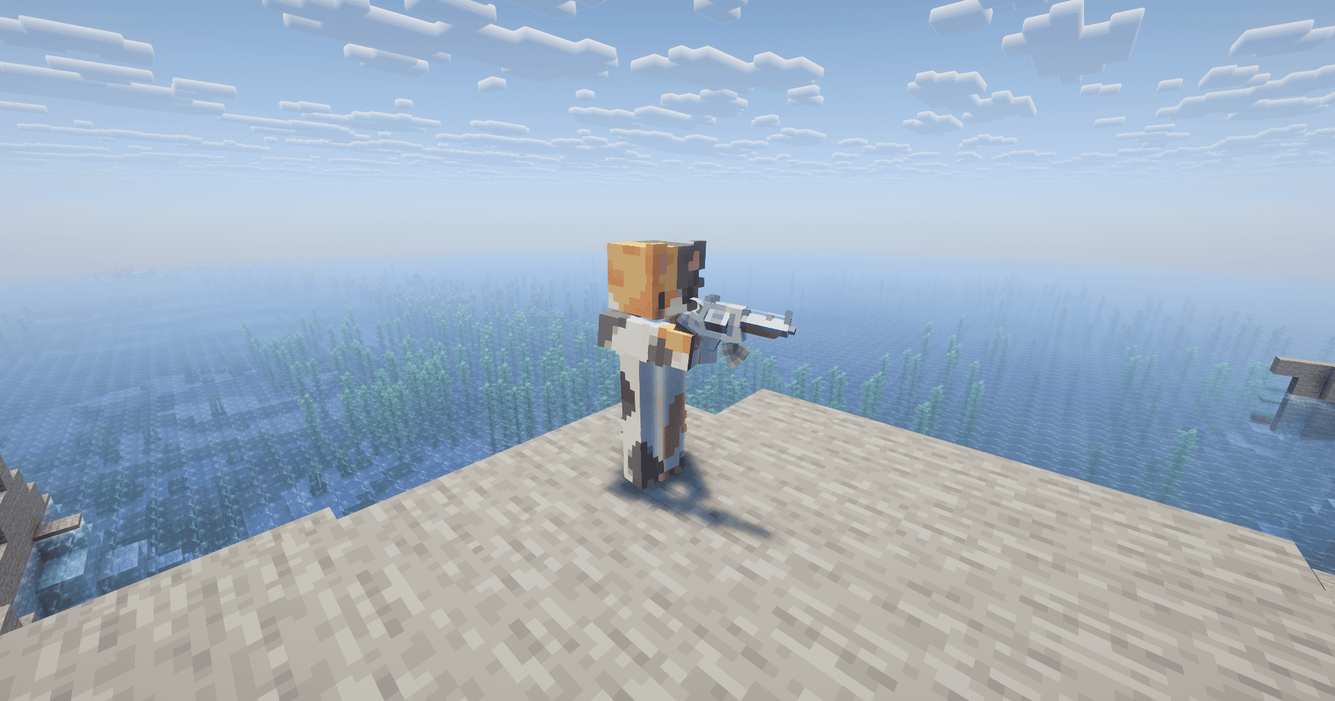 Miniatuur 2