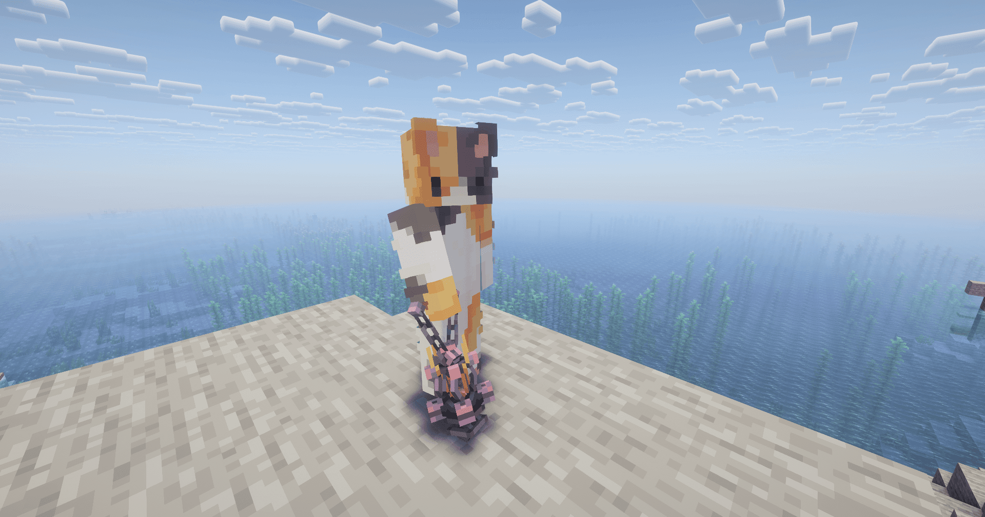 Thumbnail 12