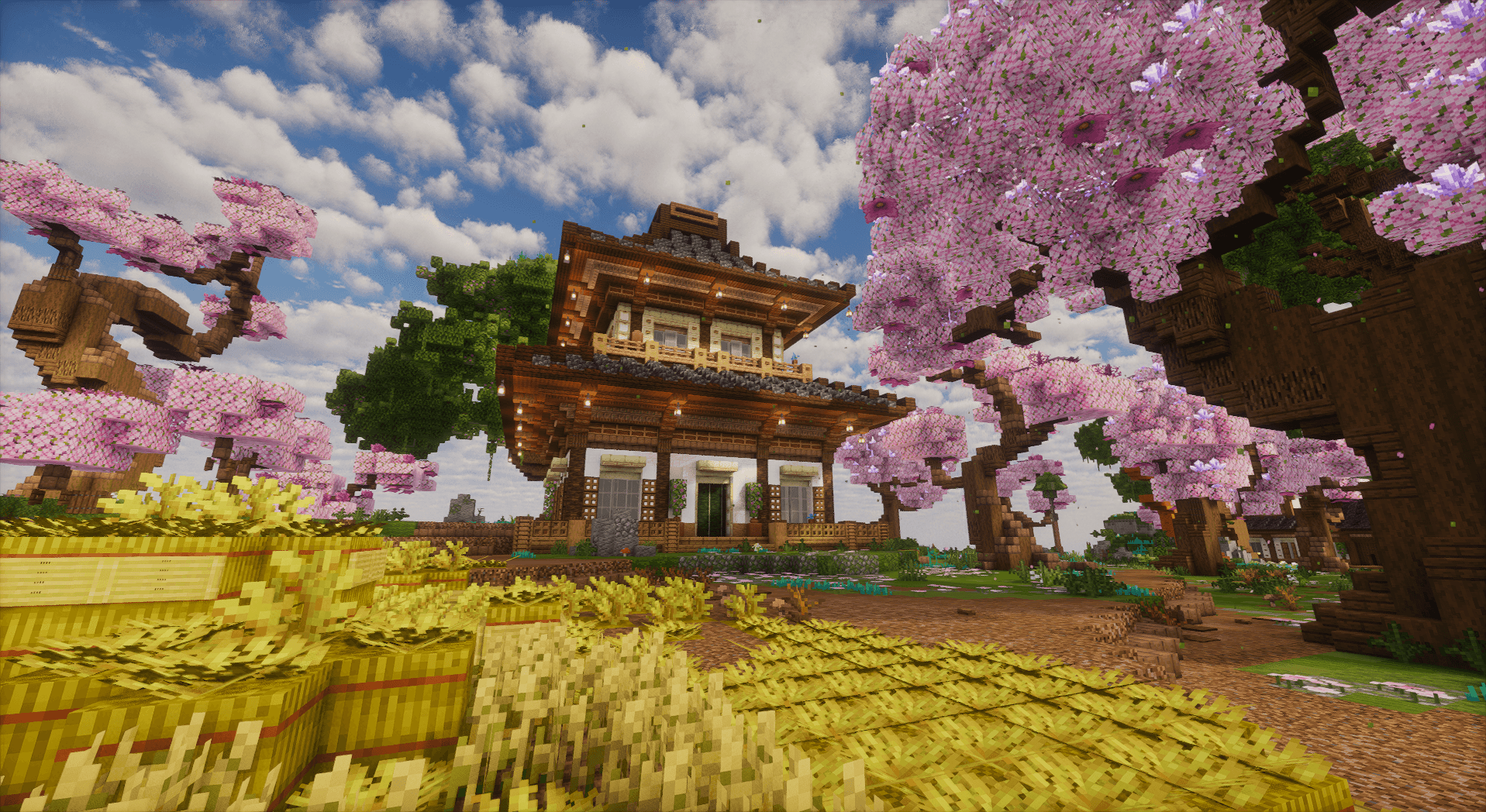 Thumbnail 12