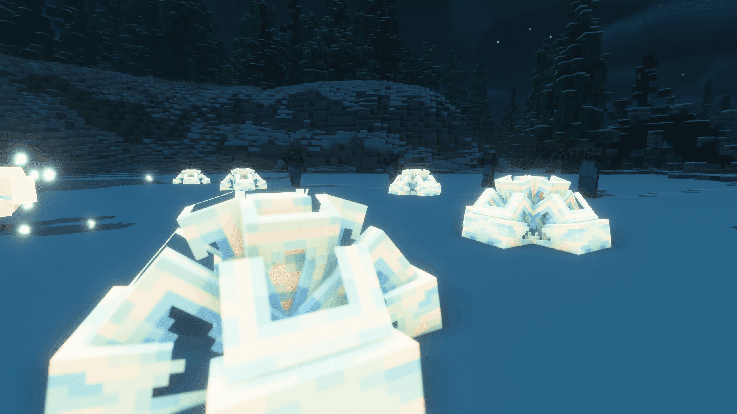 Thumbnail 12