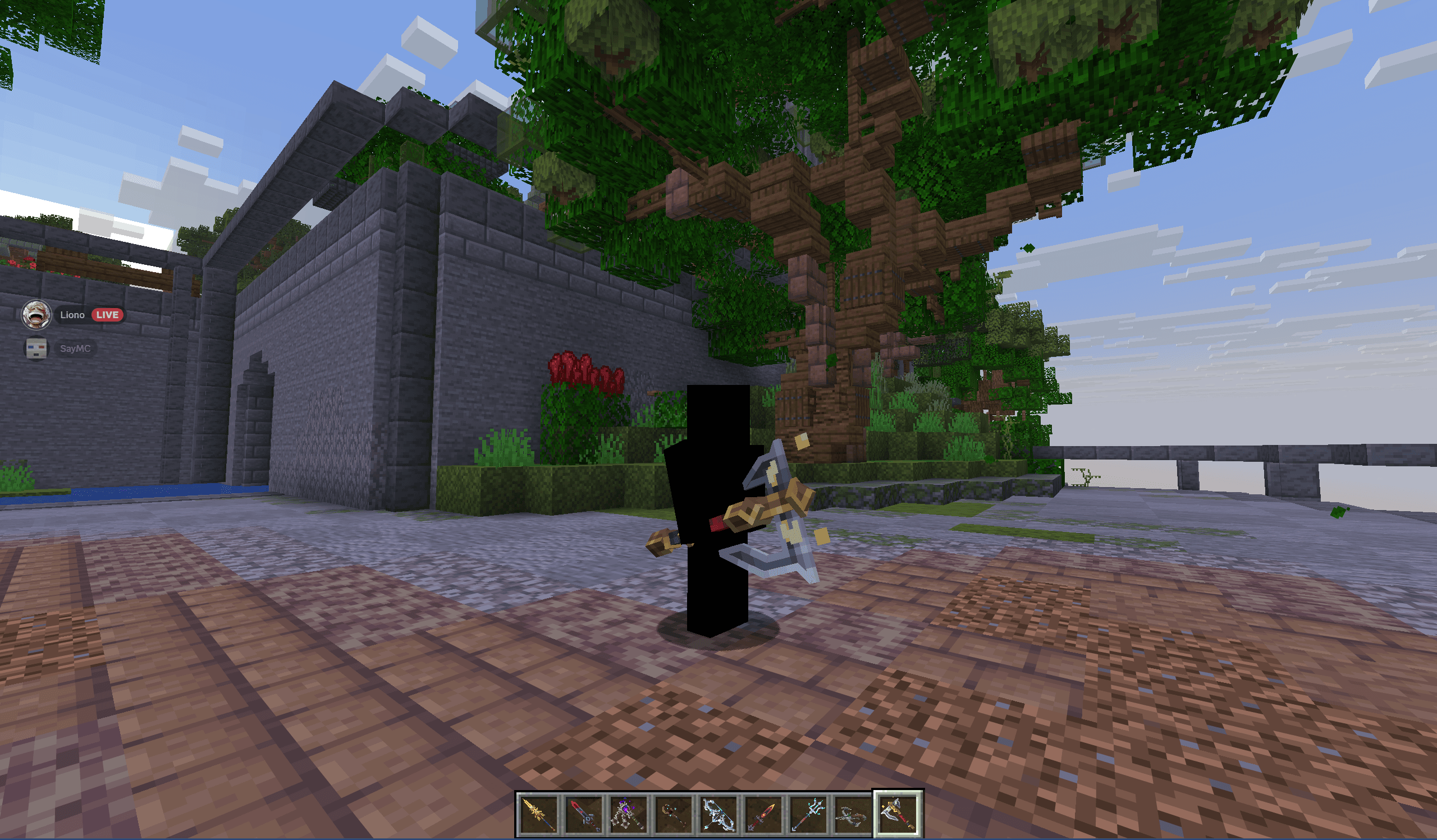 Thumbnail 6