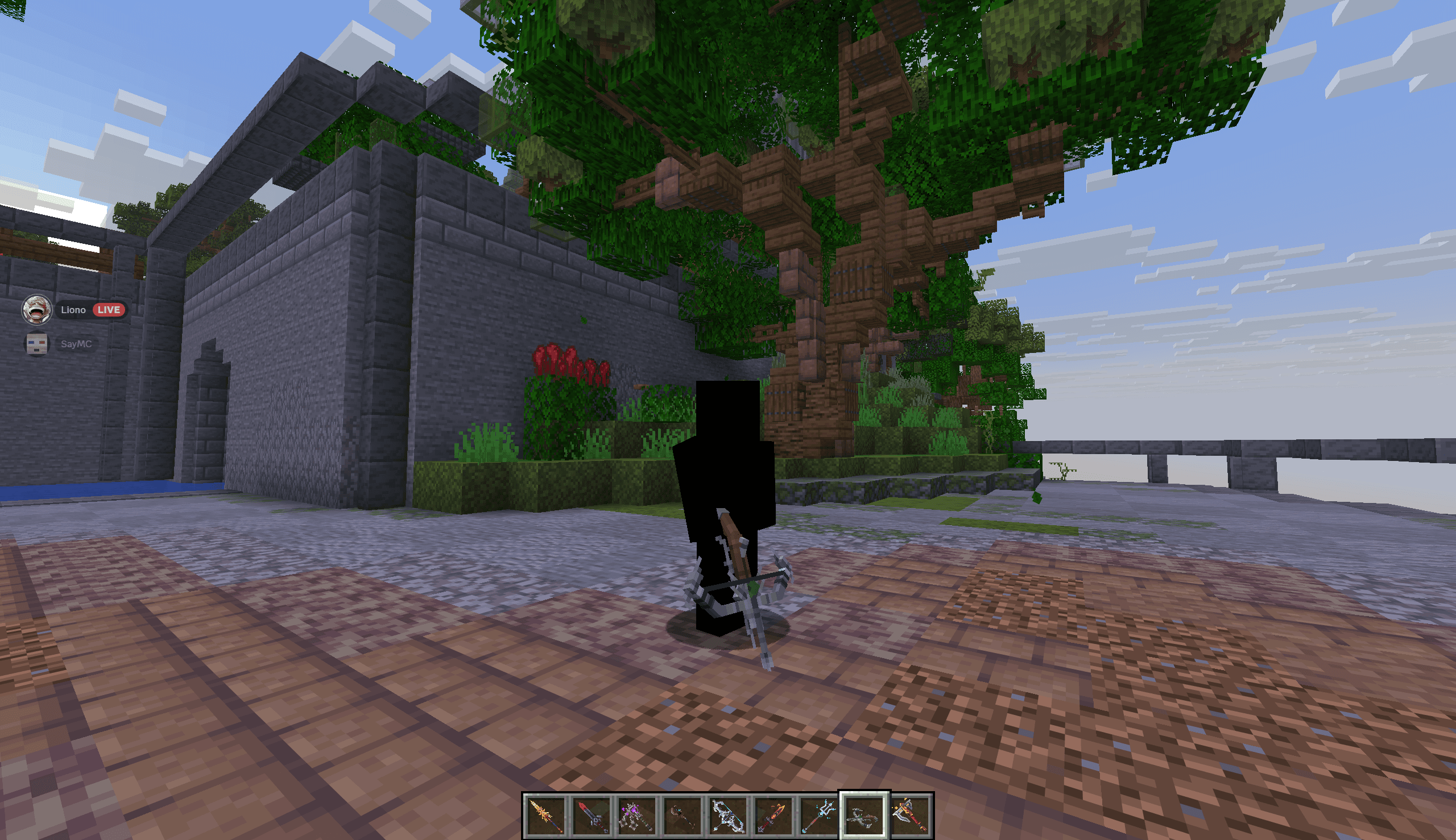 Thumbnail 7