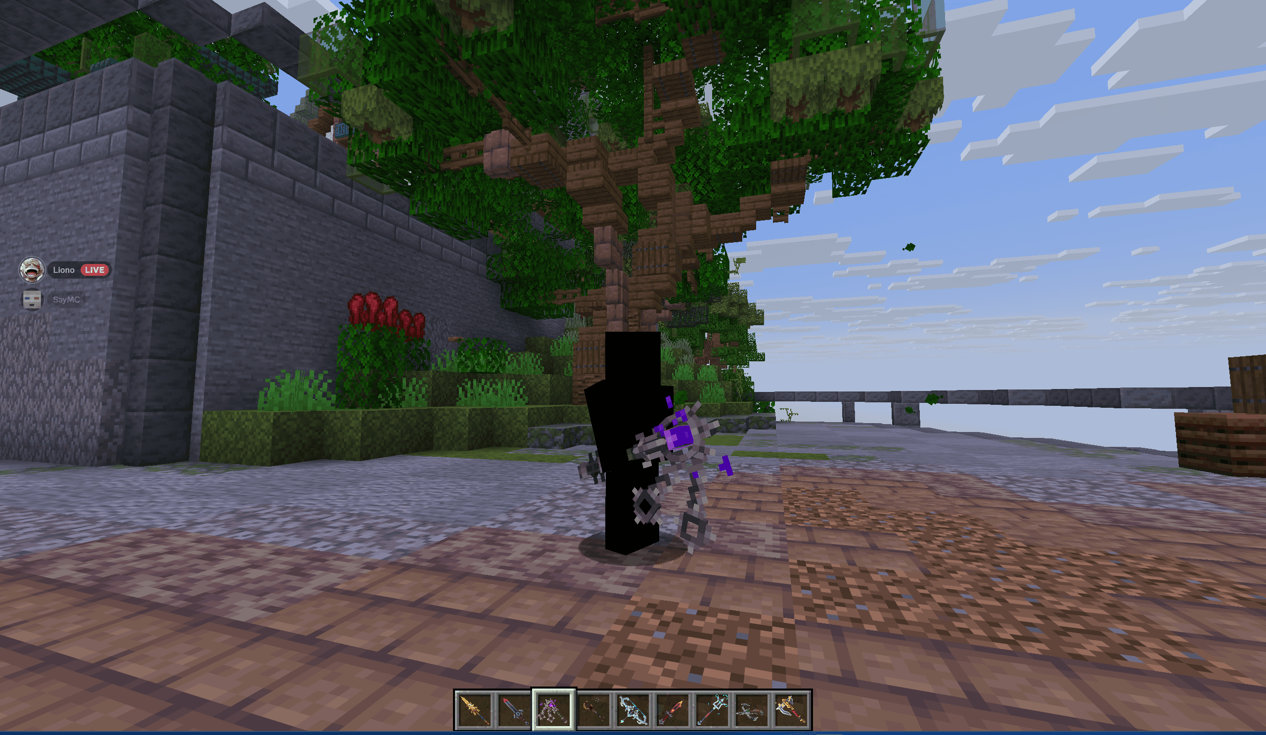 Thumbnail 8