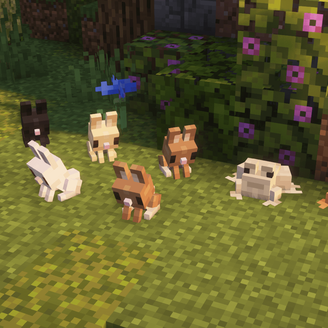 Thumbnail 7