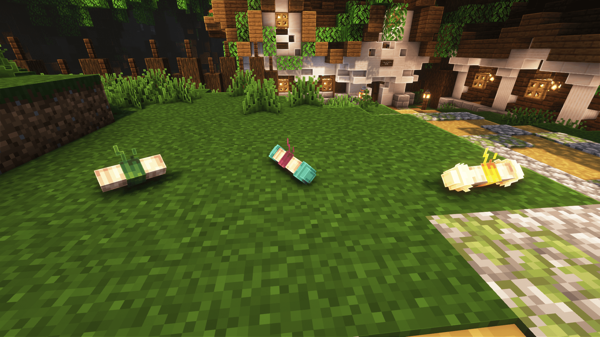 Thumbnail 4