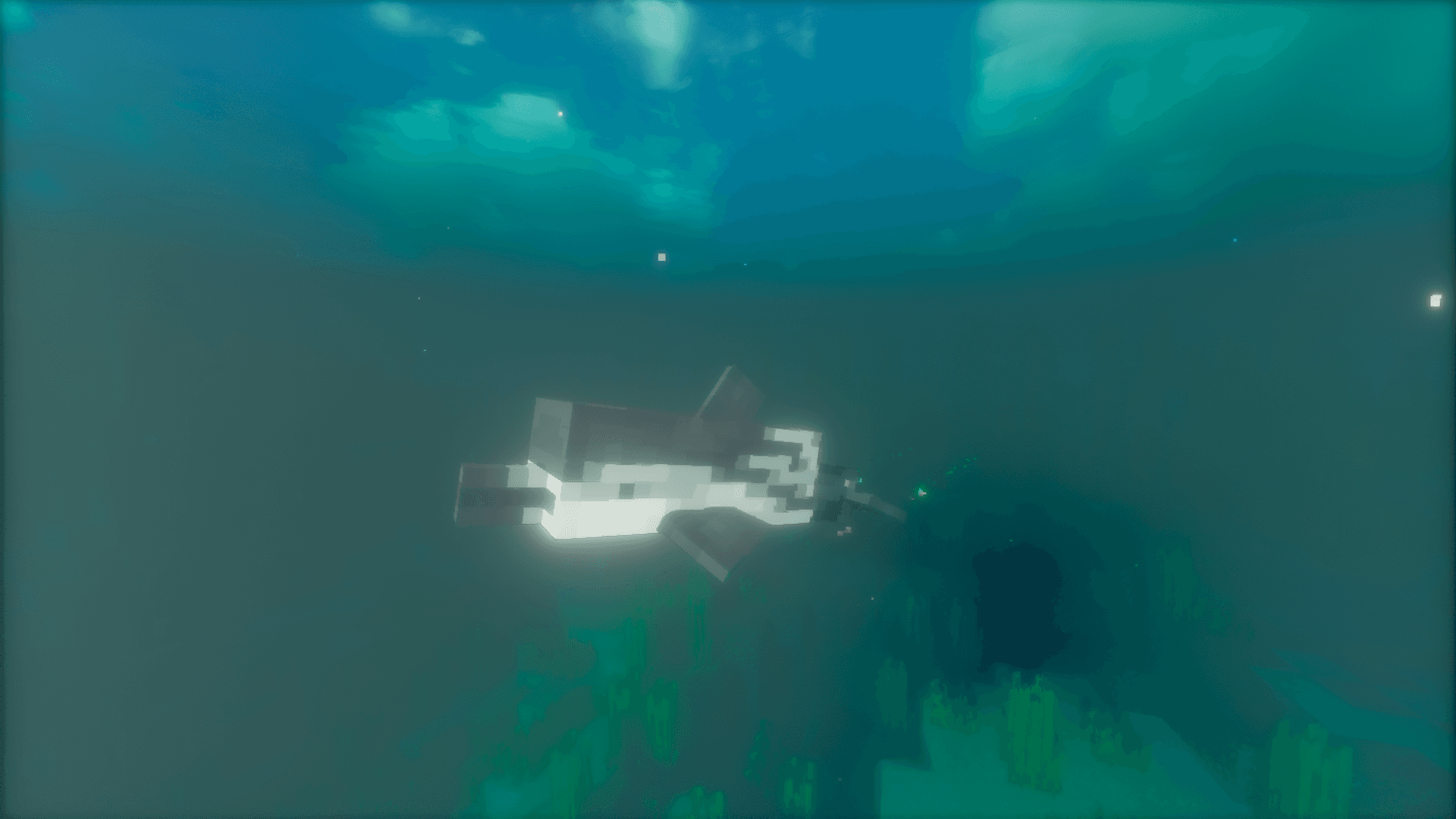 Thumbnail 11