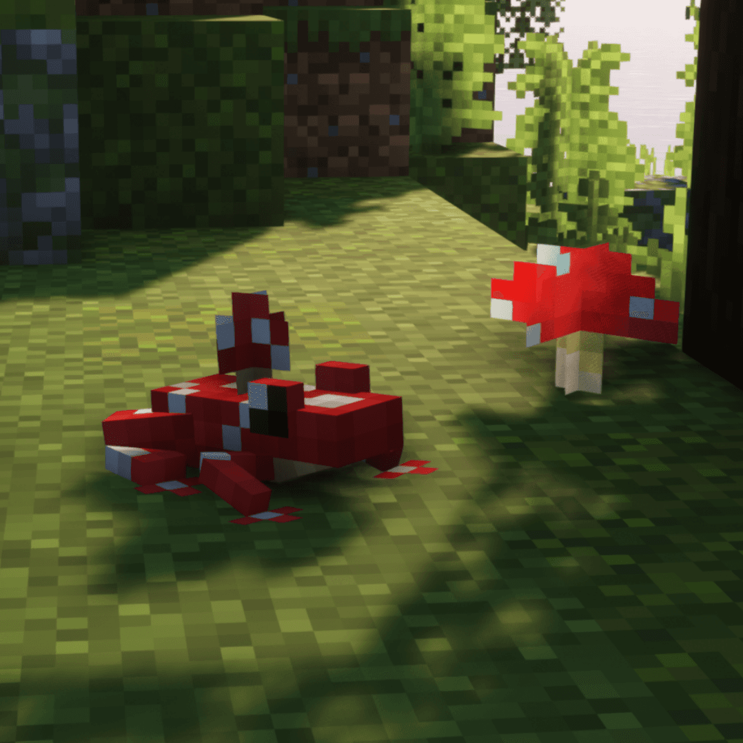 Thumbnail 9