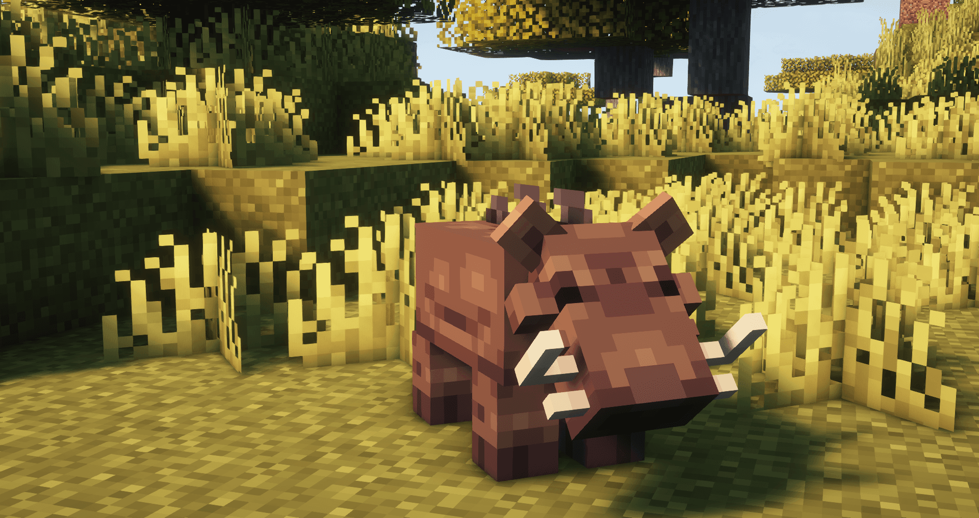 Miniatur 3